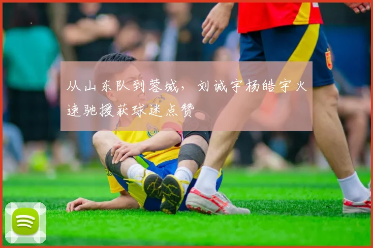 从山东队到蓉城，刘诚宇杨皓宇火速驰援获球迷点赞