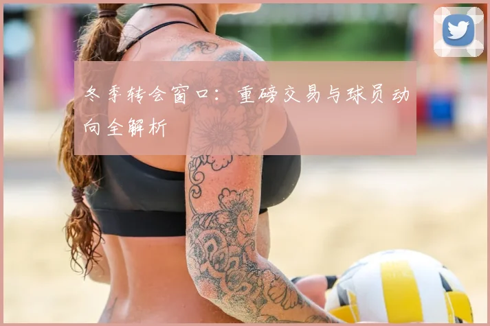 冬季转会窗口：重磅交易与球员动向全解析