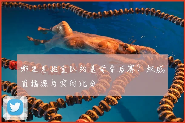 哪里看掘金队约基奇季后赛？权威直播源与实时比分